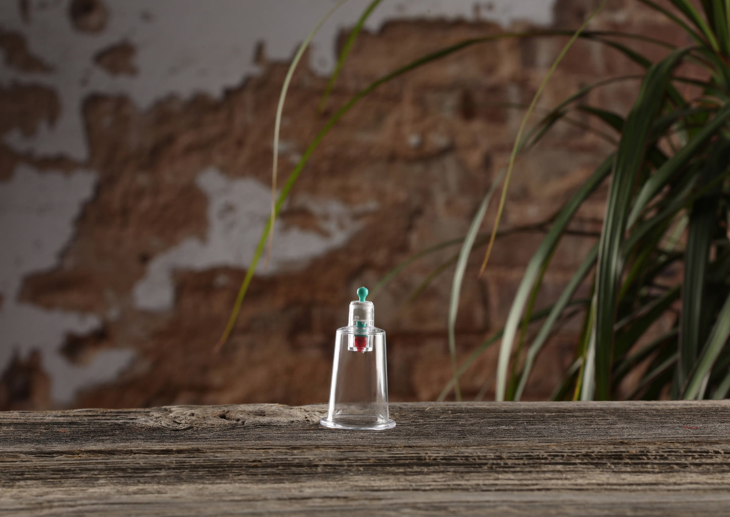 Professional Cupping Cups B6 2cm - Lifestyle